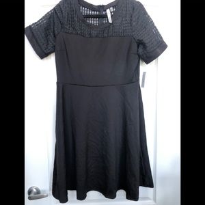 NWT NY Collection waffle mesh dress size Large